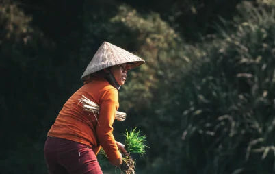 Meet our Natural Producers from everywhere else